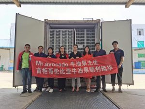 Llega a China el primer contenedor de aguacate colombiano