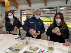 Científicos trabajan en árboles resistentes al cambio climático