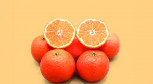 Isabelina, la primera variedad de mandarina sin semilla ‘made in Chile’