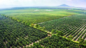 Hacia una  oferta complementaria