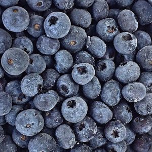 Oferta agroexportadora de Ñuble mantiene dinamismo en 2025