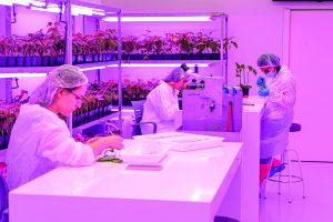 Kimitec, con el objetivo de impactar a toda la cadena alimentaria