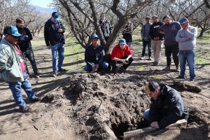Día de campo de suelos Innovak-Nutratkis