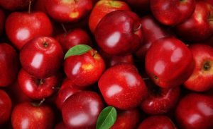 Exportaciones de frutas chilenas a Brasil crecen 31,5% y pasa a ser el mayor destino en América Latina