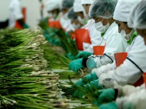 Grupo Virú compra compañía distribuidora de alimentos congelados en Estados Unidos