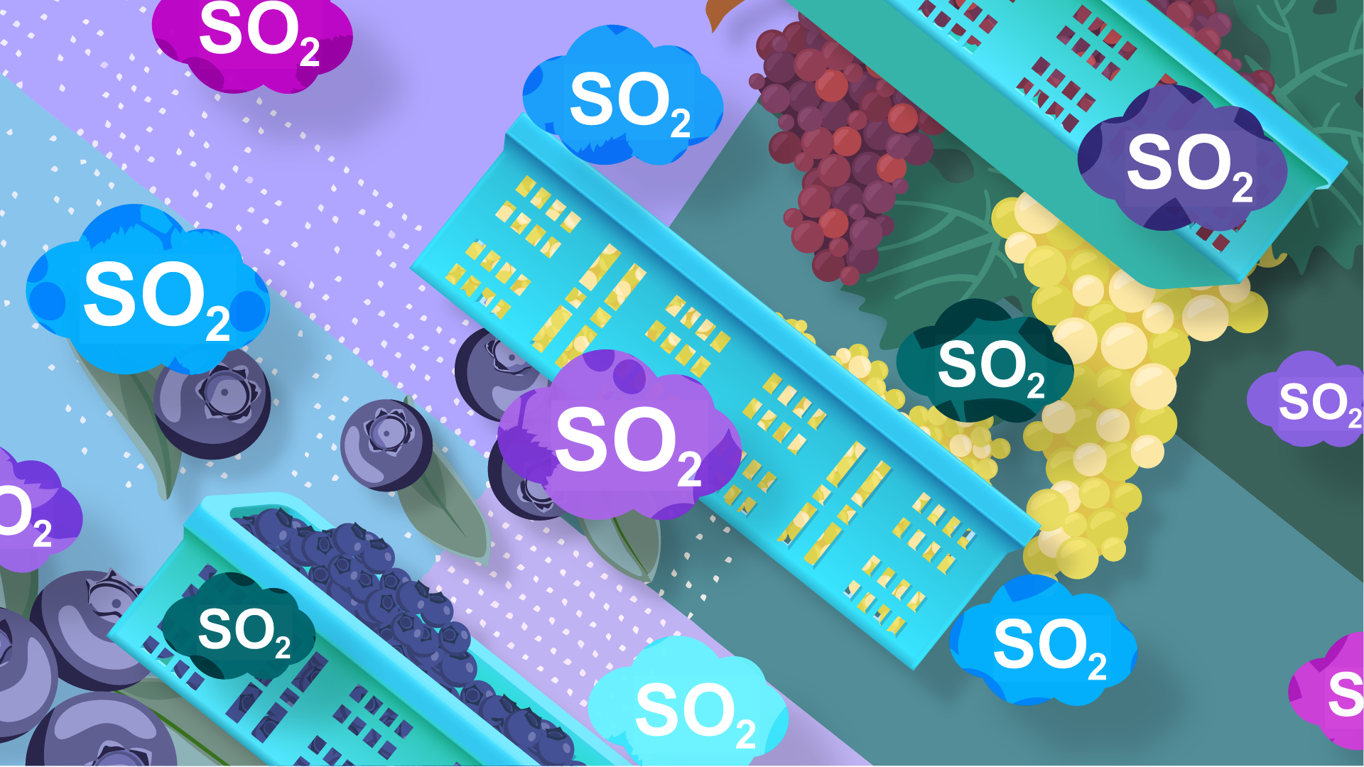 Optimización en cámaras de gasificación y actualización en las mediciones de SO2