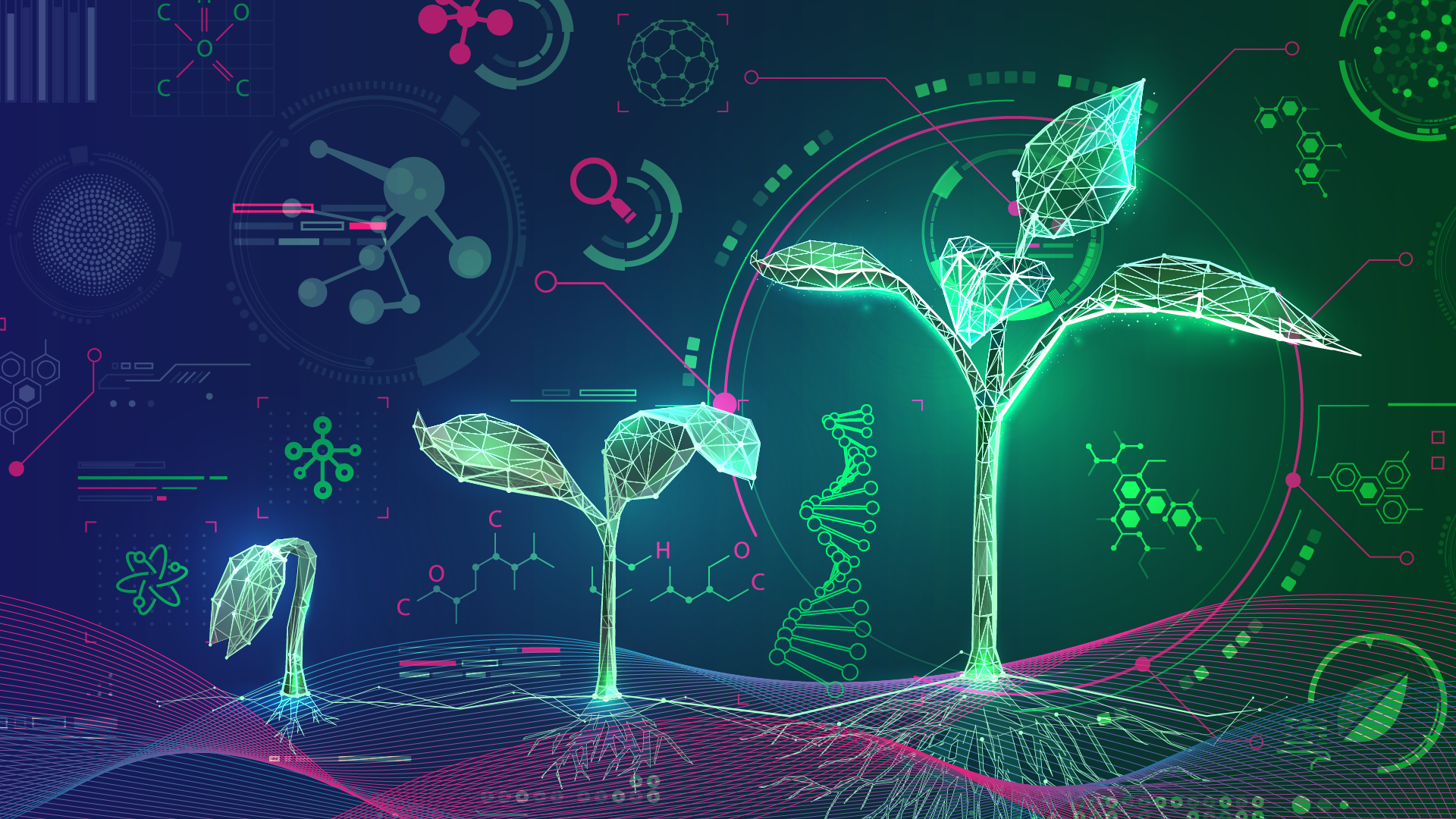 hormonas vegetales, reguladores de crecimiento y elicitores