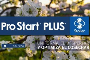 Las ventajas de ser el primer homogeneizador del mercado