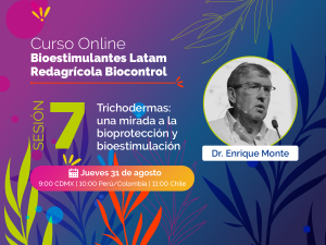 Entendiendo la versatilidad de Trichoderma en bioprotección y bioestimulación
