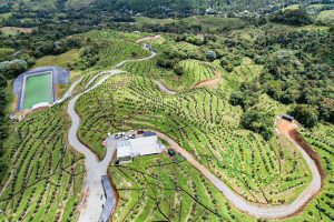 Hacia una  oferta complementaria