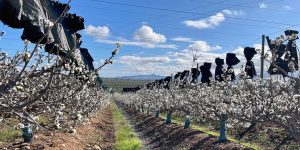 Orientar el trabajo hacia el primor, objetivo común de Ovalle