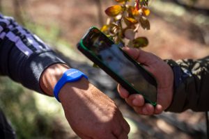 Soluciones digitales eficientes para la gestión de mano de obra