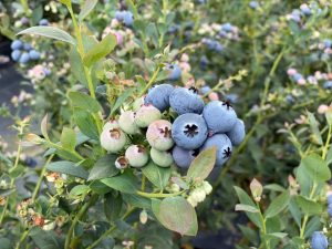 En busca del despegue definitivo