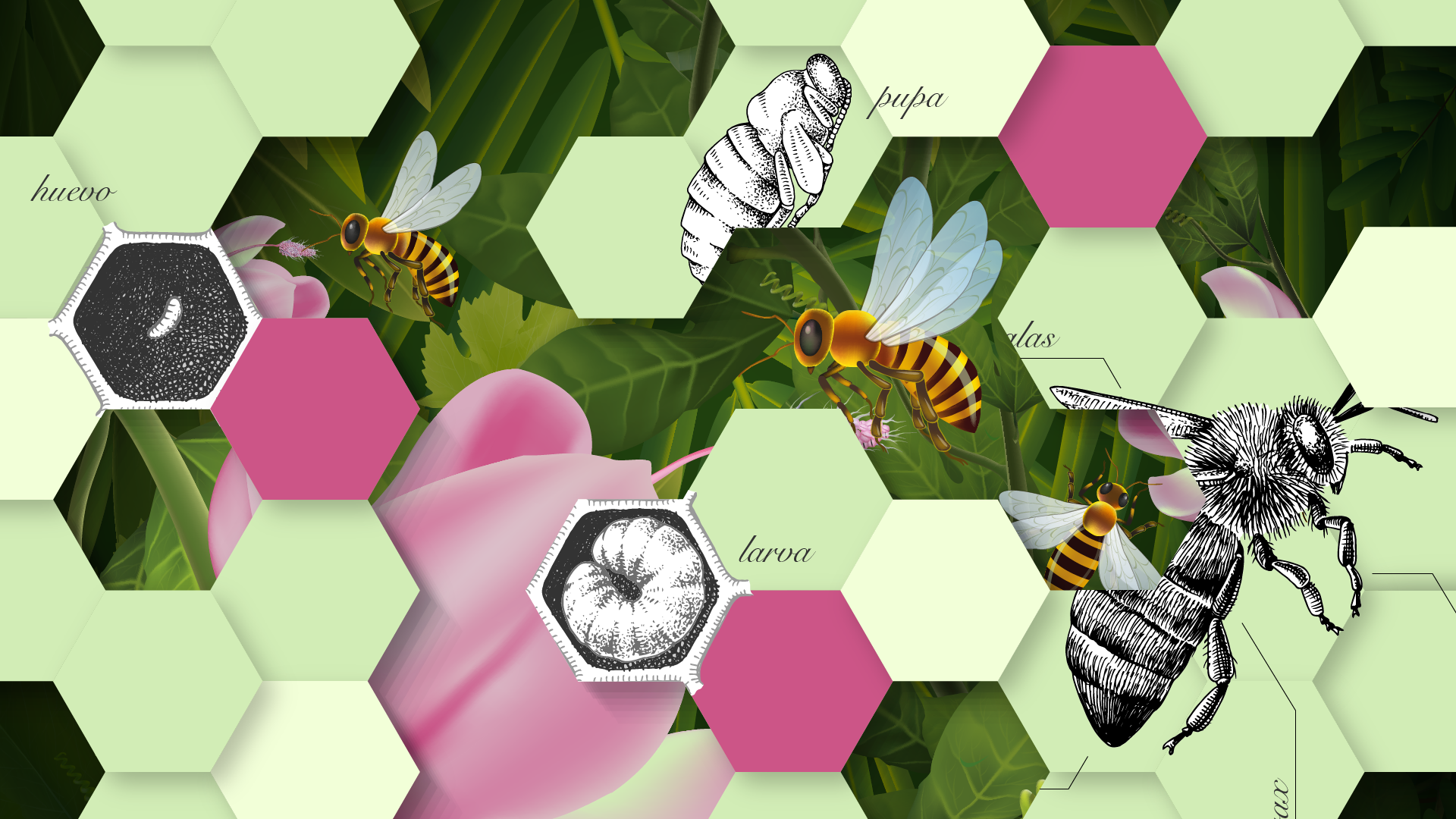 Abejas y Control Químico: El Desafío de la Compatibilidad