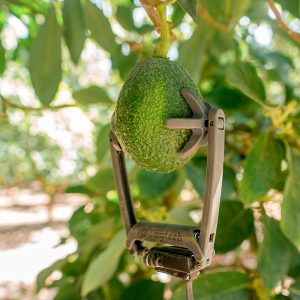 ¿Quienes son los nuevos dueños de Agrokasa?