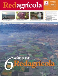 Diciembre 2010