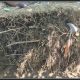 Bachumus Eco: las huellas de una herramienta con distintos beneficios