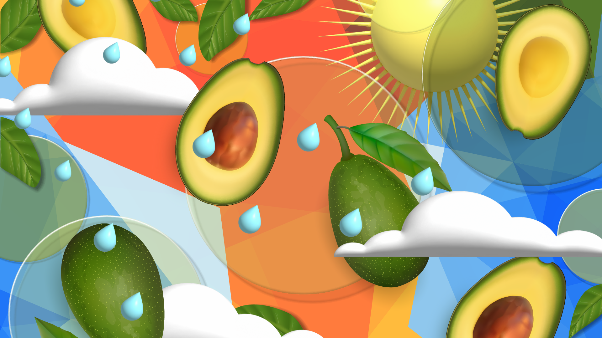 Palto El desafío para fruta de calidad y viajera.