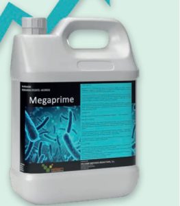 Megaprime potencia la asimilación de nutrientes  en aguacates
