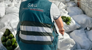 Chile: Minagri gestiona crédito de US$50 millones con el BID para fortalecer el SAG