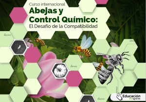 Curso de abejas y control químico iniciará el martes 7 de noviembre con sesión abierta al público