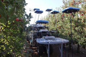 El futuro está aquí: robots voladores ya cosechan fruta en Chile