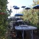 El futuro está aquí: robots voladores ya cosechan fruta en Chile