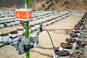 Tecnología para el uso de eficiencia del riego