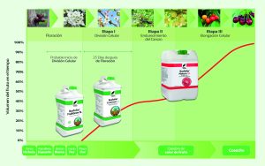 Resultados productivos significativamente superiores, sin residuos en su fruta