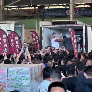 Las primeras cerezas chilenas de la temporada ya están en China