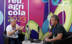 “Perú, en manejo poscosecha y cadena de frío, sigue siendo muy superior a Chile”