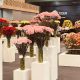 En Bogotá abre sus puertas Proflora, la feria dedicada al negocio de las flores