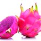 La ruta productiva de la pitahaya orgánica