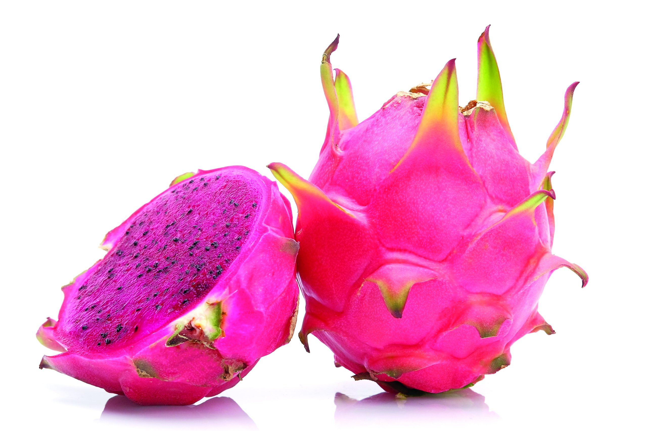 La ruta productiva de la pitahaya orgánica - Redagrícola