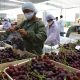 Agroexportaciones peruanas suman US$ 5.714 millones de enero a agosto 2023