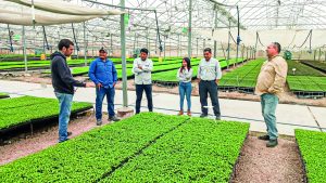 Naturagro S.A.  se alía con empresa de I+D para traer al Perú productos especializados en la mitigación del estrés ambiental
