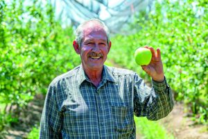 Efectos positivos de Promesol en suelos manzaneros