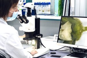 Futureco Bioscience impulsa la innovación agrícola en México