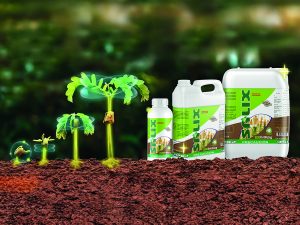 Despierta al guerrero interno de tus plantas: Descubre Cómo el Ácido Salicílico Activa sus Defensas Naturales