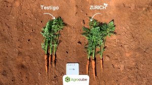 Innovación en biotecnología para una agricultura sustentable
