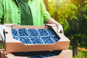 La sostenibilidad gana terreno en el packaging