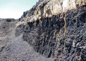 10 consideraciones para aplicar sustancias húmicas