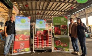 Camposol realiza primer envío de cerezas a China desde Chile