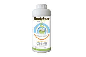 Potencia la emisión de raíces en tus cultivos con ROOTCHEM®