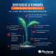 Phytoma Latam y el lanzamiento del AMINOLOM ENZIMÁTICO, una herramienta que revolucionó el mercado de Bioestimulación vegetal