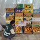 SAG en alerta por ingreso ilegal a Chile de productos hortofrutícolas con residuos de plaguicidas prohibidos