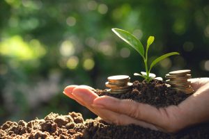 La revisión anual de los negocios agrícolas en la banca