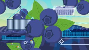 Exclusivo Video Premium: Los arándanos en el mundo: Nuevas zonas productivas y tendencias globales