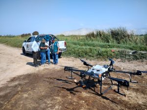 Con cámaras espectrales controlan problemas fitosanitarios del cultivo de arroz en Arequipa