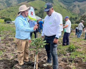 El uso de portainjertos clonales en Colombia supera las expectativas